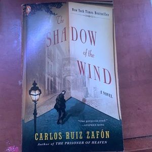 Shadow of the wind book